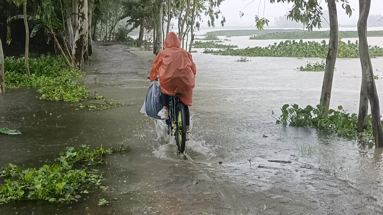 নদ-নদীর পানি বেড়ে নিম্নাঞ্চল প্লাবিত। সোমবার সকালে কুড়িগ্রামের ধরলা অববাহিকা ছড়ারপাড় এলাকায় তোলা। ছবি: এশিয়া পোস্ট