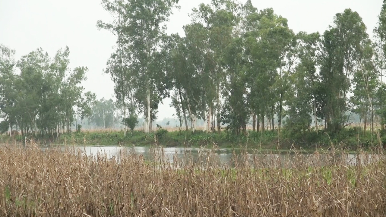 পুশইনের জন্য নাদী-নালা বেষ্টিত এলাকা বেছে নিচ্ছে বিএসএফ। ছবি: এশিয়া পোস্ট