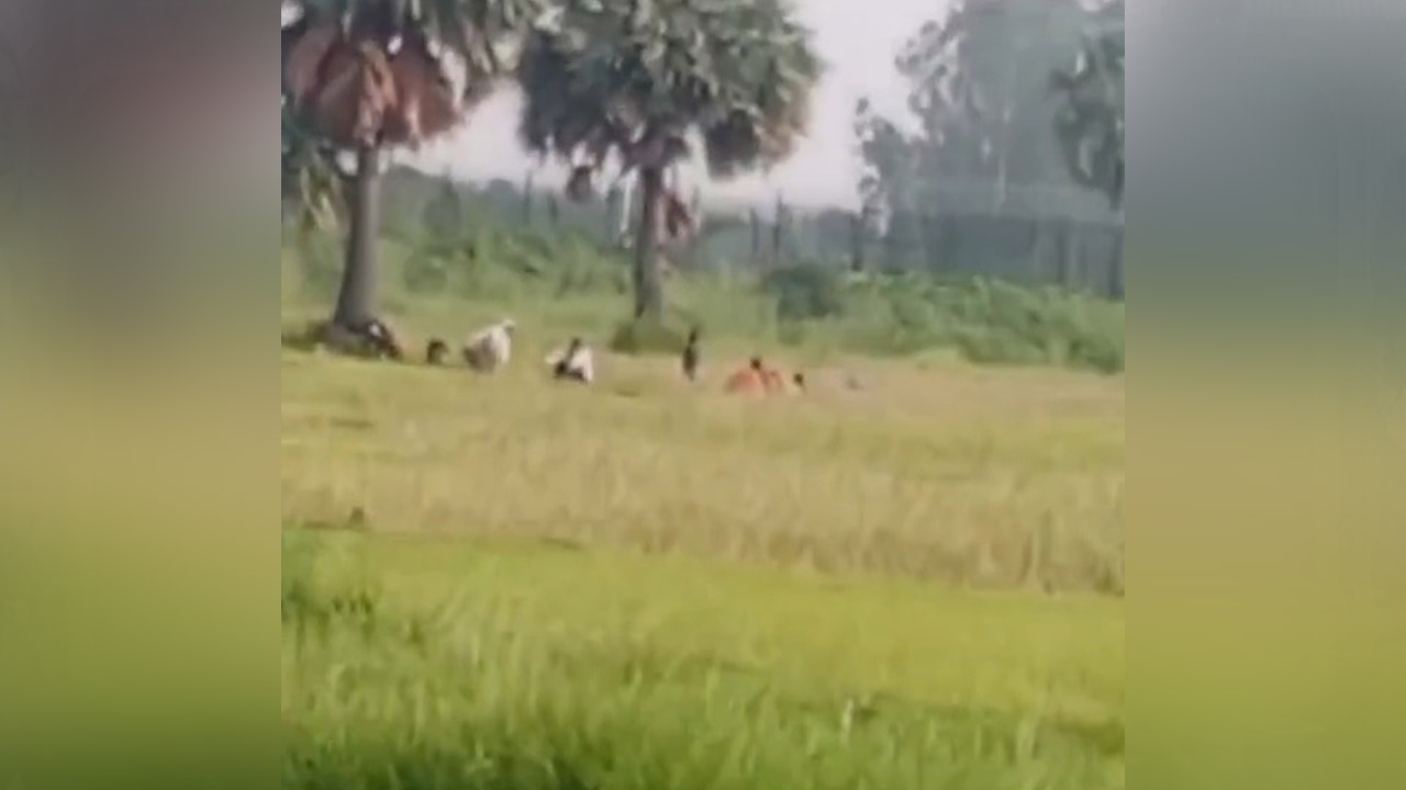 নওগাঁ সীমান্তে ৯ জনকে পুশইনের চেষ্টা, বিজিবির বাধা