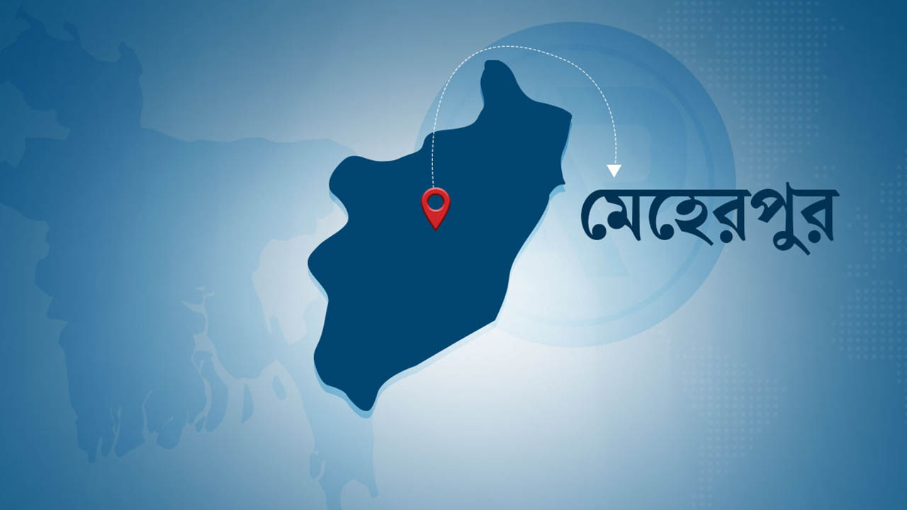 মেহেরপুরে এবার কুকুরের কামড়ে বিচারক আহত