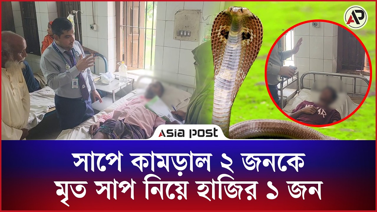 সাপে কামড়াল ২ জনকে, মৃত সাপ নিয়ে হাজির ১ জন