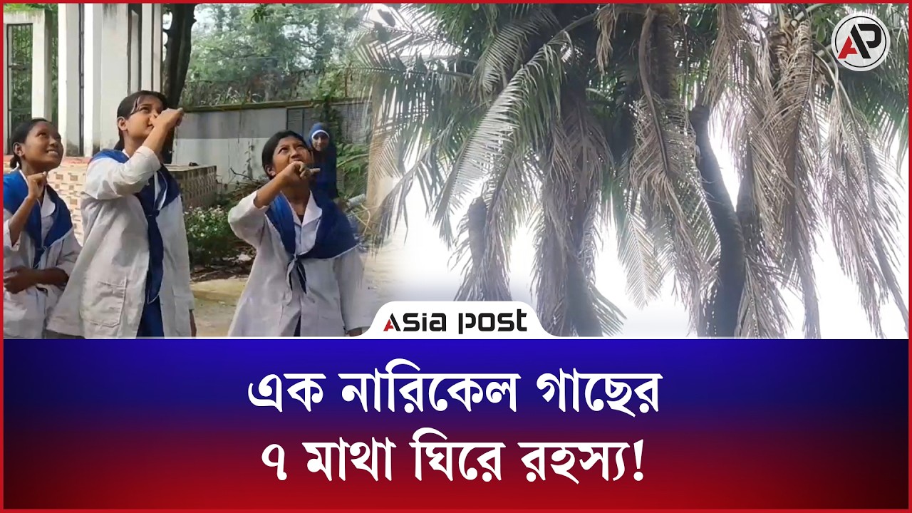 ৩০ বছর দাঁড়িয়ে রহস্য মোড়ানো ৭ মাথার এক নারিকেল গাছ 