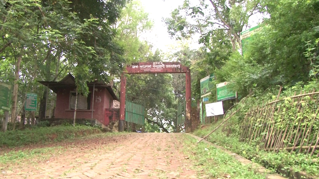 সড়কের দুরবস্থায় পর্যটক হারাচ্ছে রেমা–কালেঙ্গা