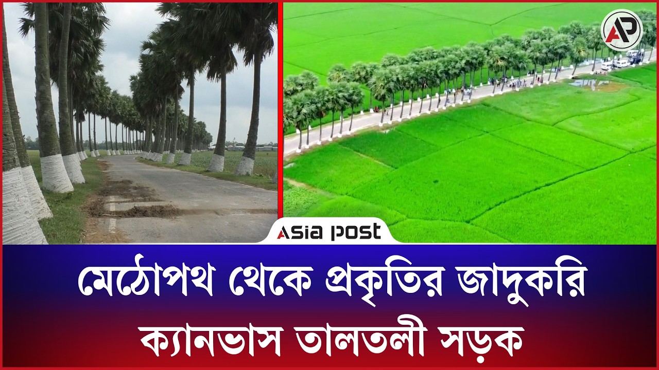 
মেঠোপথ থেকে যেভাবে প্রকৃতির জাদুকরি ক্যানভাস হয়ে উঠল এই সড়ক