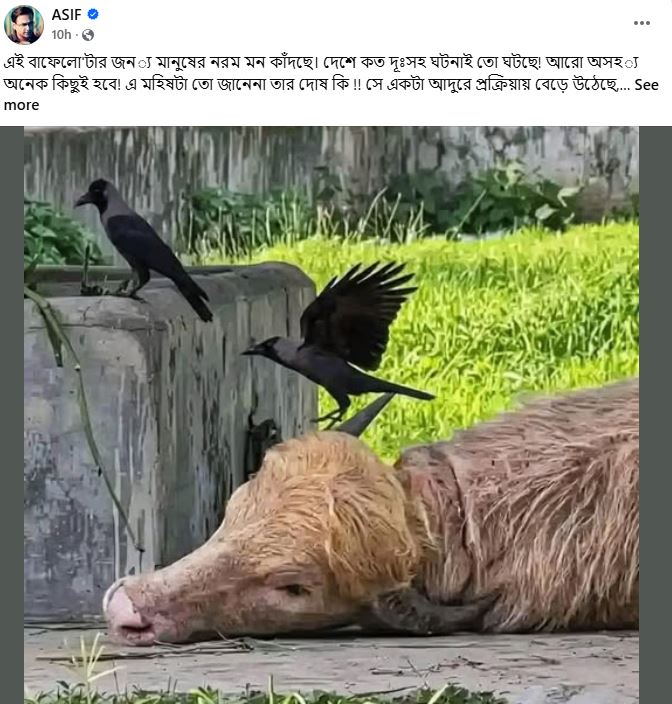 Capture