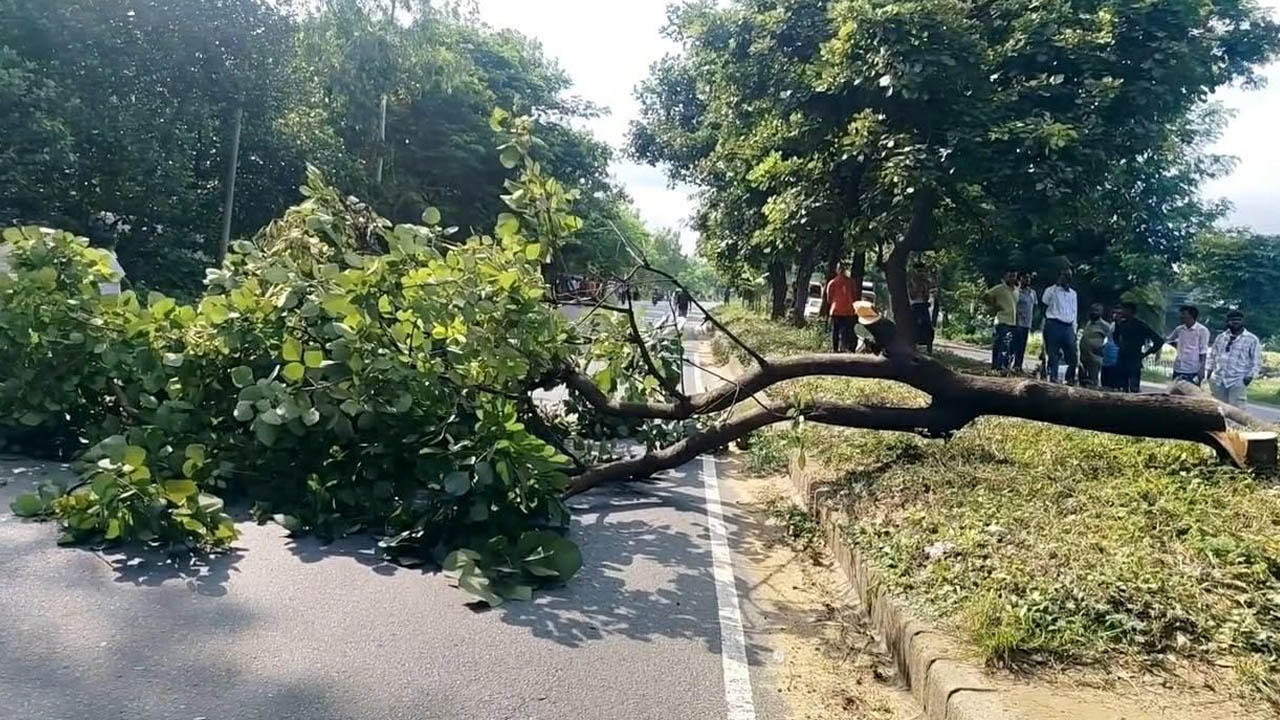 ছবি: এশিয়া পোস্ট