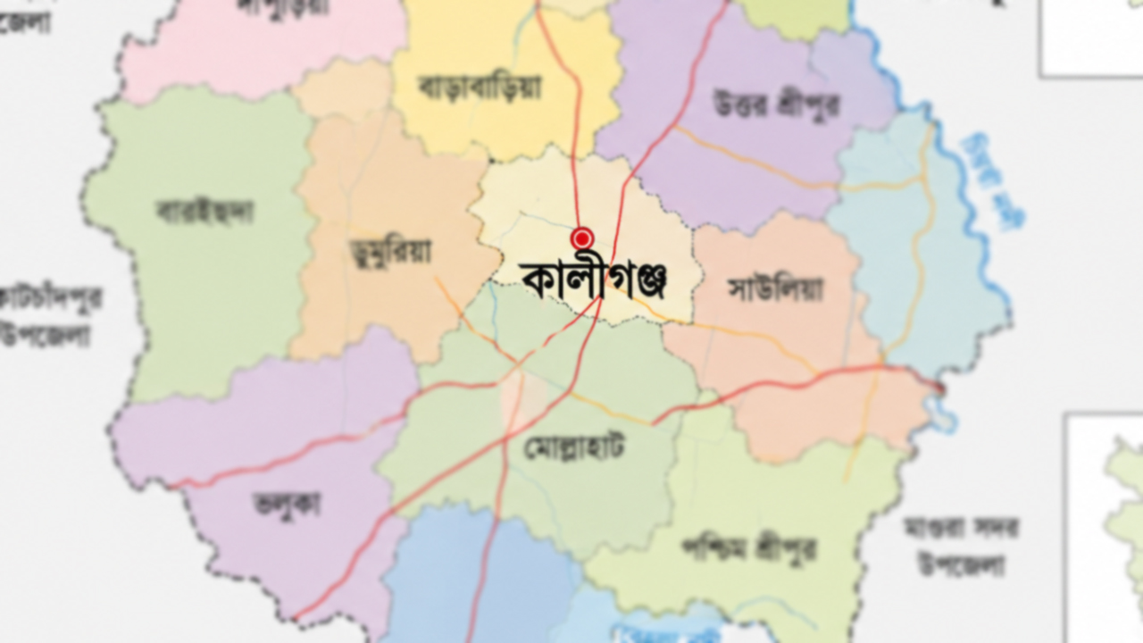 কালীগঞ্জ শহরে আধুনিক মুক্তমঞ্চের দাবি সর্বস্তরের মানুষের