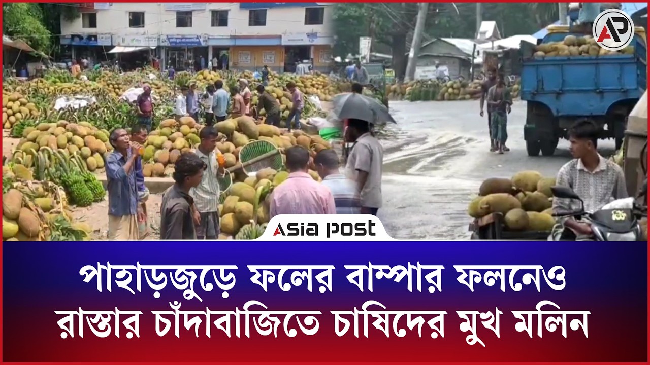 পাহাড়জুড়ে ফলের বাম্পার ফলনেও রাস্তার চাঁদাবাজিতে চাষিদের মুখ মলিন