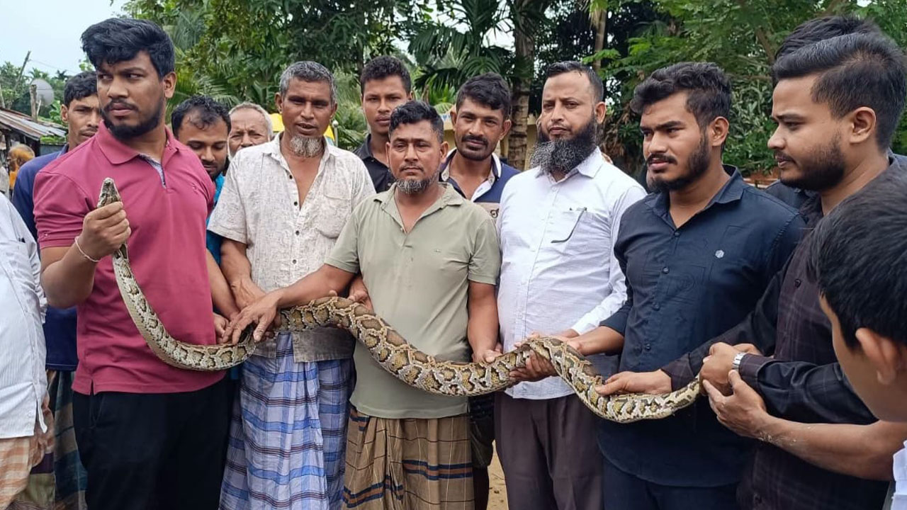 মাছ ধরতে ফেলা জালে উঠে এলো আট ফুটের অজগর