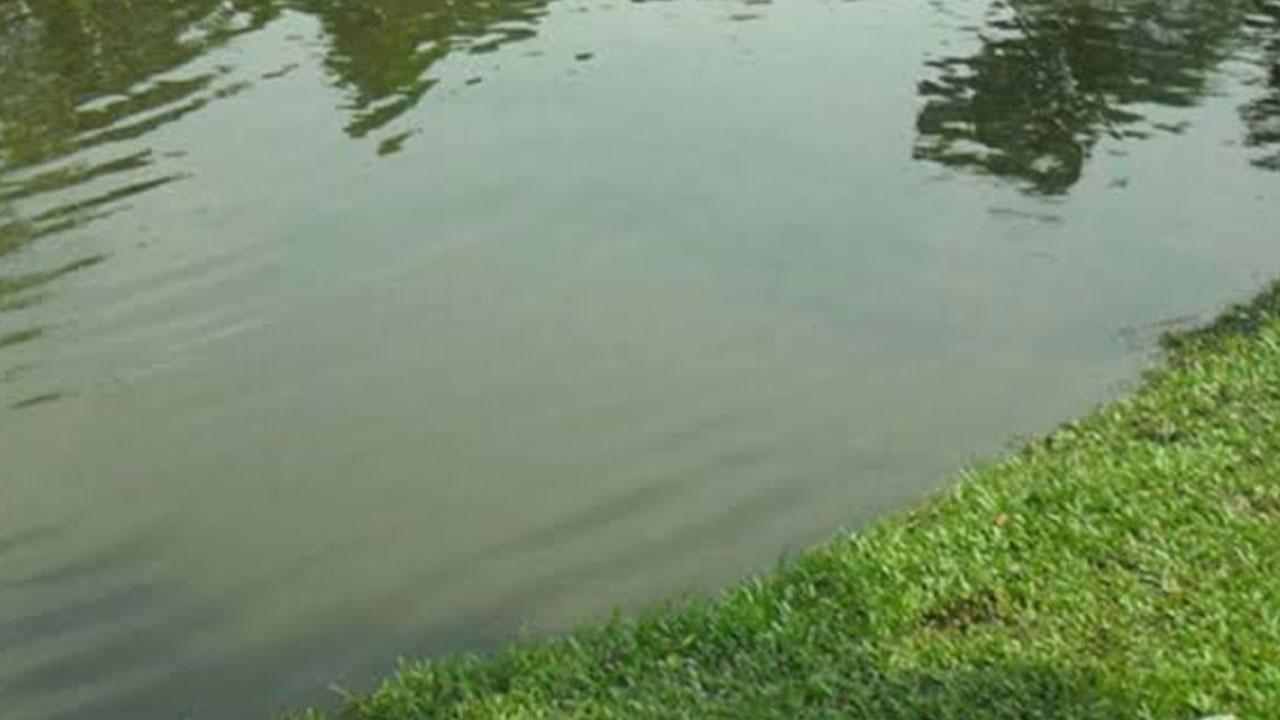 মাগুরায় পুকুরে ডুবে প্রাণ গেল দুই শিশুর