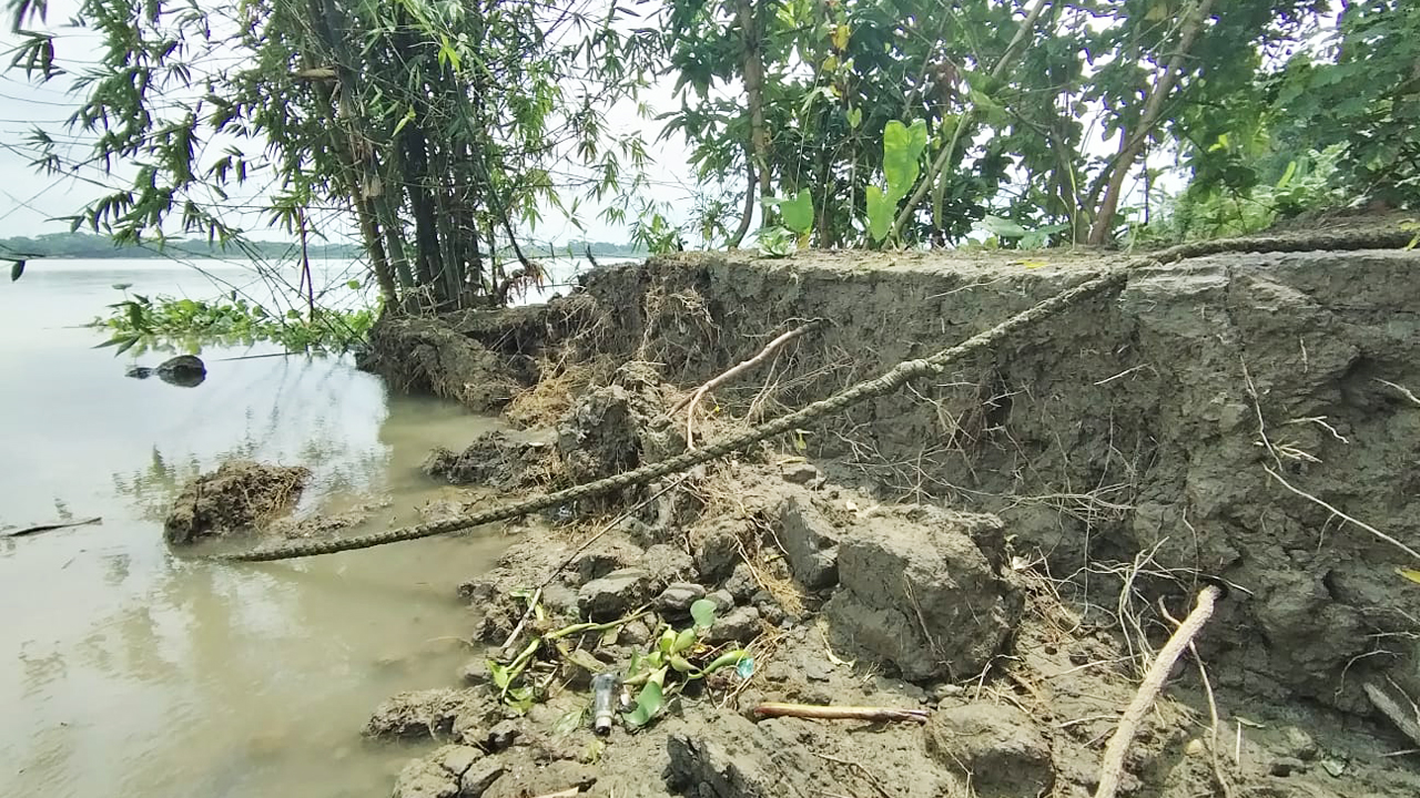 ভাঙনে বিলীন হচ্ছে একের পর এক বসতবাড়ি। ছবি: এশিয়া পোস্ট