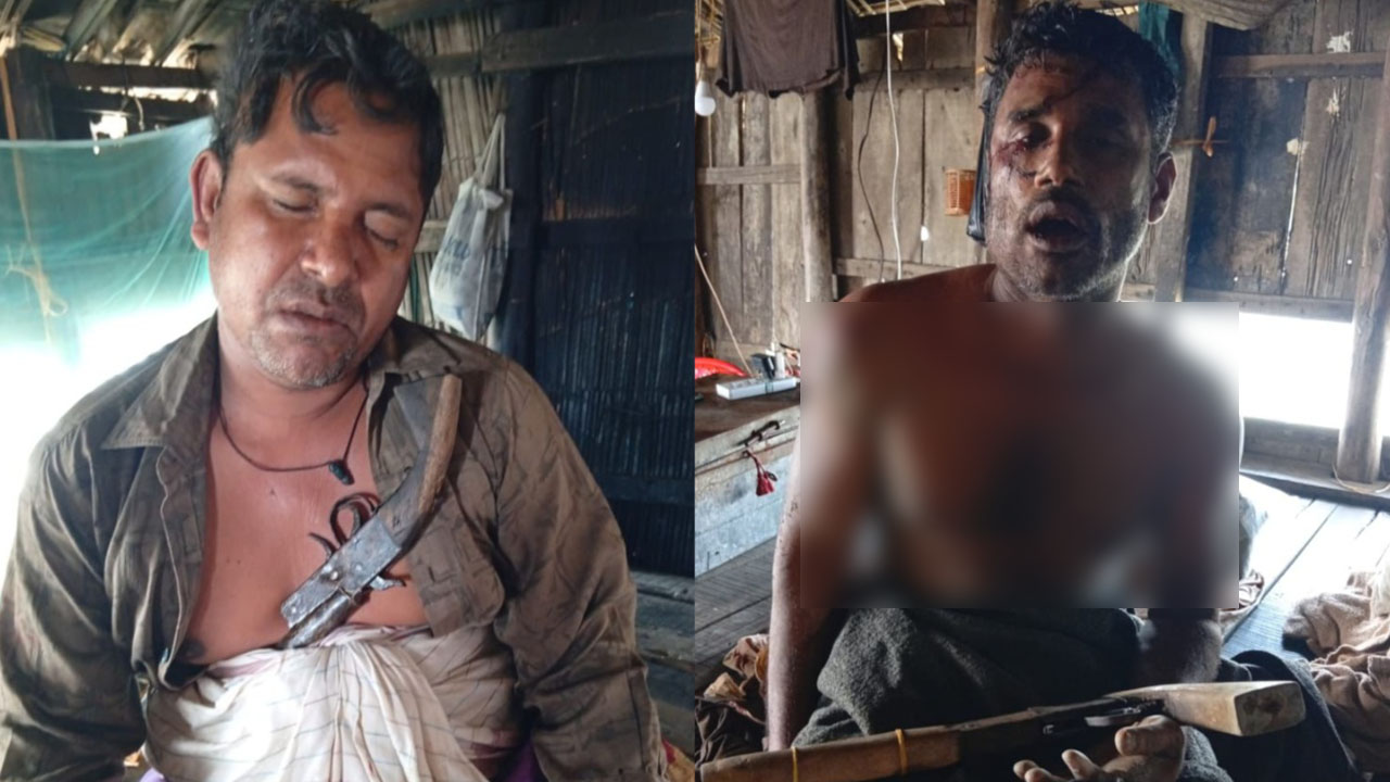 ঘের দখলে নিতে মহড়া, অস্ত্র-গুলিসহ আটক ২