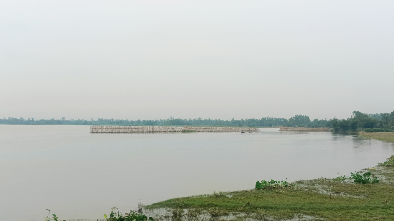 তিস্তা নদীর পানি বিপৎসীমার ৫ সেন্টিমিটার নিচ দিয়ে প্রবাহিত হচ্ছে। ছবি: এশিয়া পোস্ট