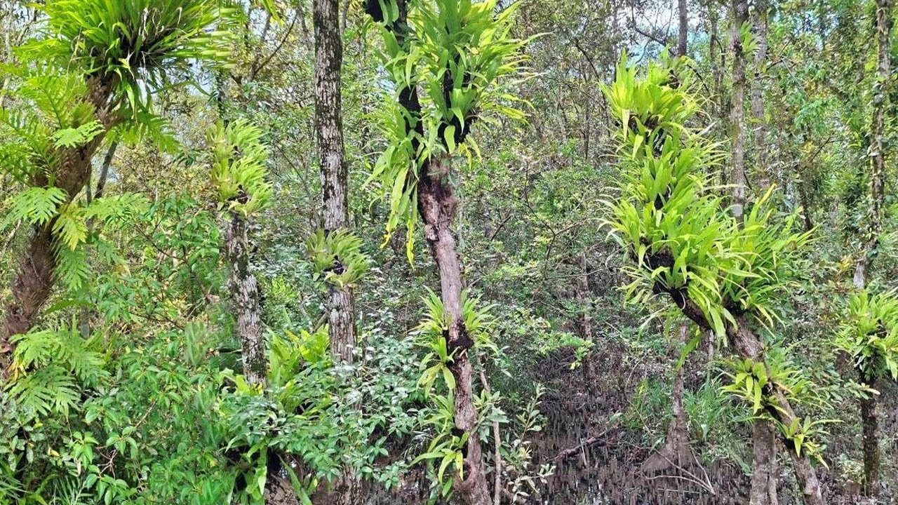 ছবি: এশিয়া পোস্ট