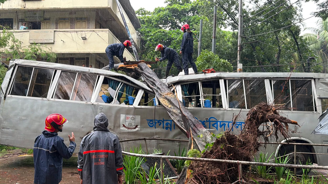 জবির বাসের ওপর আছড়ে পড়ল বিশাল গাছ, উদ্ধারে ফায়ার সার্ভিস