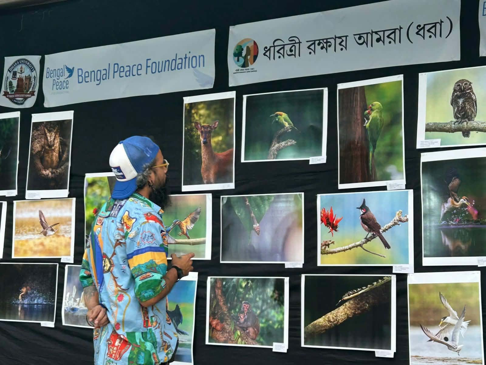 বেঙ্গল পিস ফাউন্ডেশন আয়োজিত ‘বাংলাদেশের অদেখা জীববৈচিত্র্য’ শীর্ষক উন্মুক্ত আলোকচিত্র প্রদর্শনীতে ছবি দেখছেন একজন। ছবি: সংগৃহীত