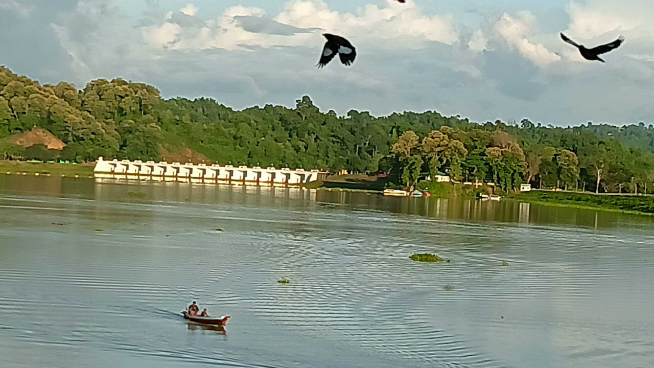 কাপ্তাই হ্রদে বিএনপি নেতা নিখোঁজ