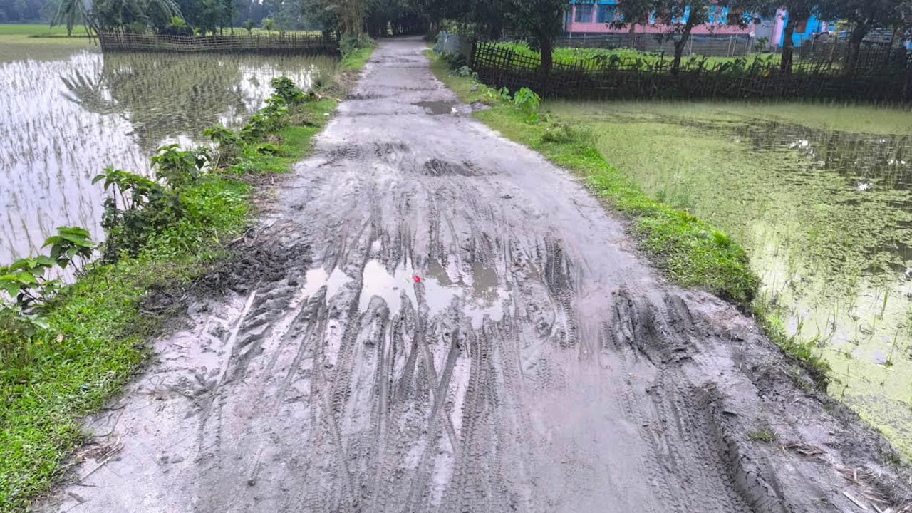 ছবি: এশিয়া পোস্ট