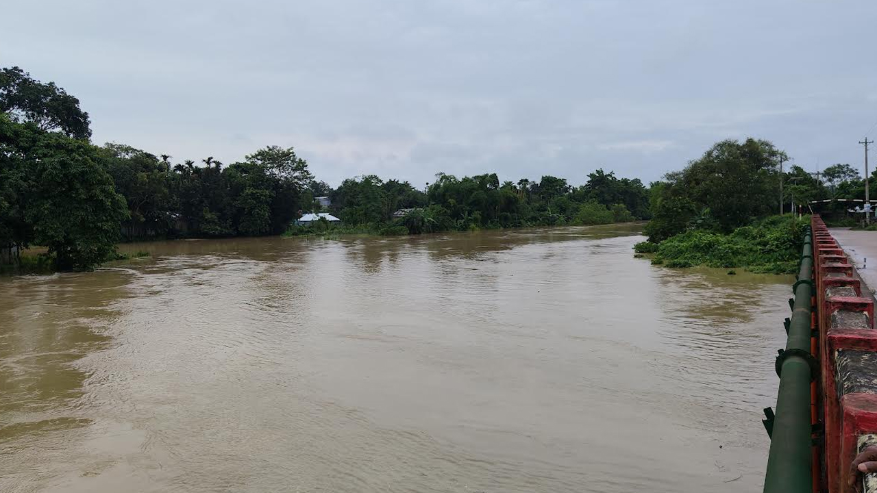 ঘাসের বস্তা মাথায় নিয়ে সাঁতার কাটার সময় নদীতে তলিয়ে গেলেন কৃষক