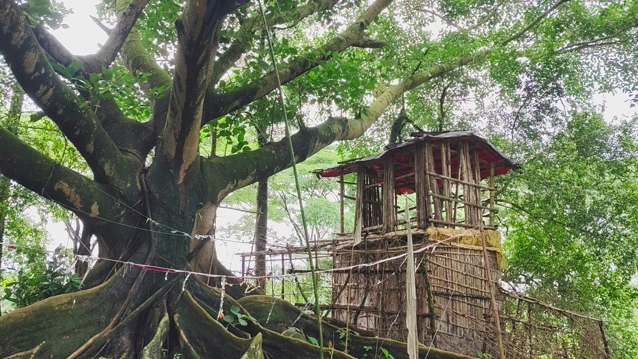 শতবর্ষী পঞ্চায়েতি কবরস্থানের একটি বড় গাছের নিচে বাঁশ-বেত দিয়ে বানানো আস্তানা। ছবি : এশিয়া পোস্ট