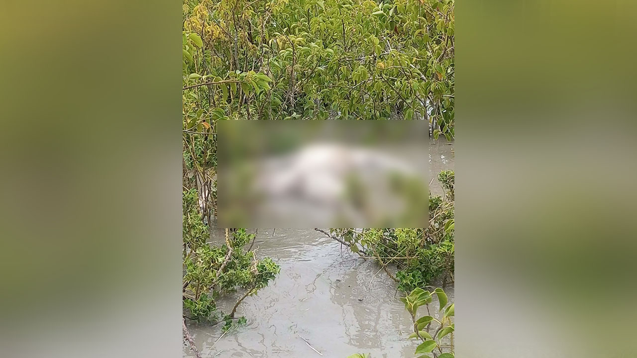 জোয়ারে ভেসে আসা মরদেহ ২৪ ঘণ্টায়ও উদ্ধার হয়নি 

