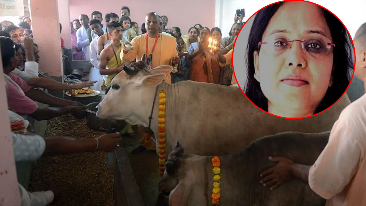 ভারতে গরু রক্ষার নামে হত্যা মামলার রায় দেওয়ায় হুমকির মুখে মুসলিম বিচারক