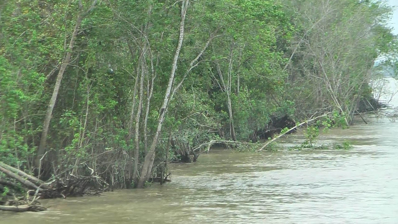ছবি: এশিয়া পোস্ট