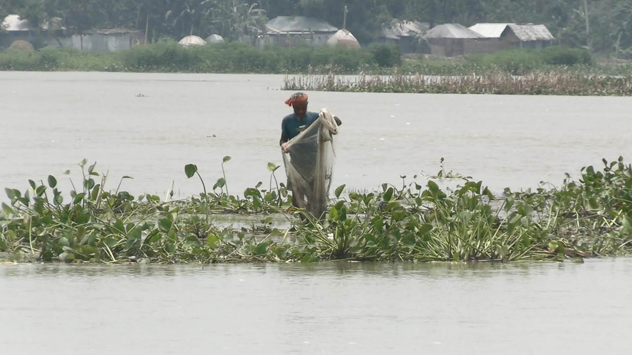 তিস্তার পানি বিপদসীমার ওপরে, লালমনিরহাটের নিম্নাঞ্চল প্লাবিত