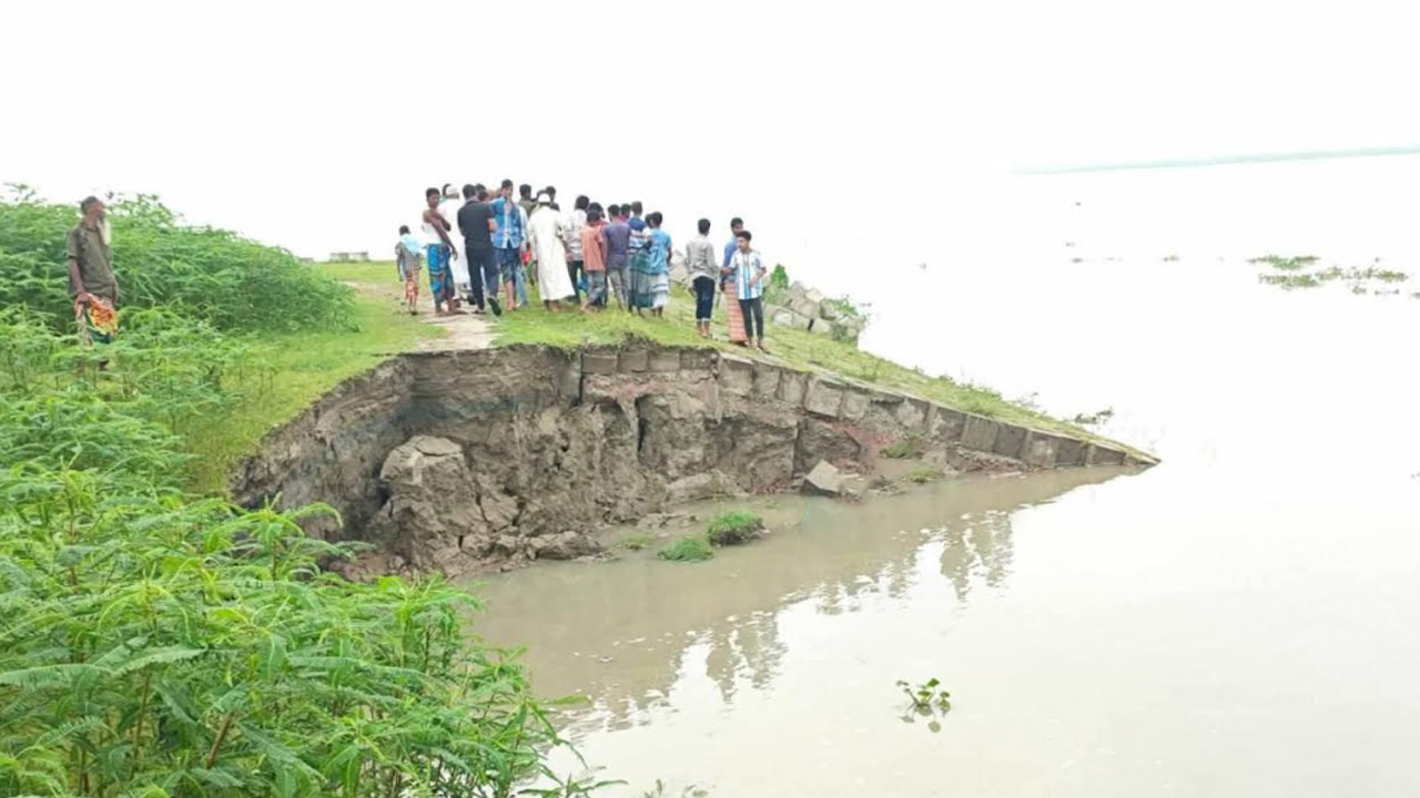 যমুনার প্রবল স্রোতে তীররক্ষা বাঁধের ৩০ মিটার নদীগর্ভে বিলীন
