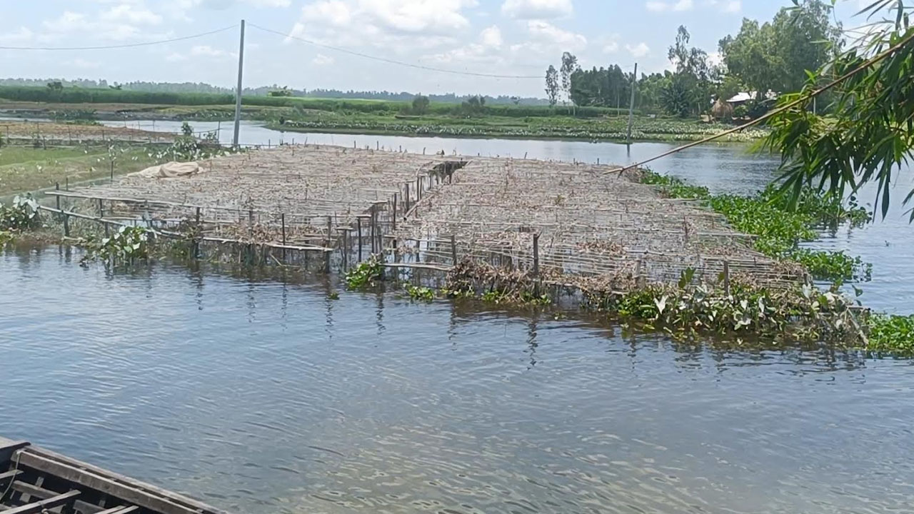 কমছে বন্যার পানি, ভেসে উঠছে ফসলের ক্ষয়ক্ষতি
