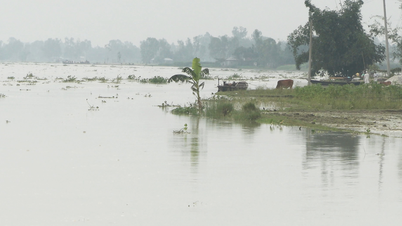 ভারী বৃষ্টি আর পাহাড়ি ঢলে তিস্তাপাড়ে বন্যা আতঙ্ক