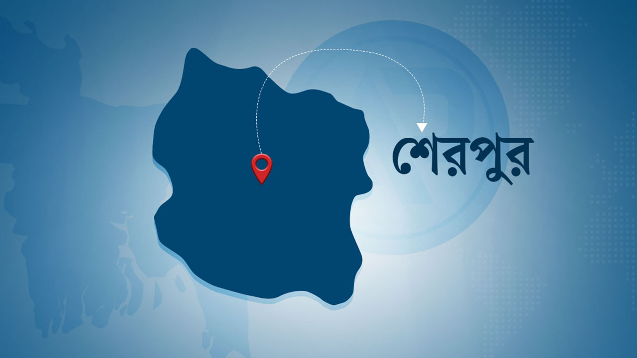 নিখোঁজের একদিন পর ধানক্ষেতে মিলল ইজিবাইক চালকের লাশ