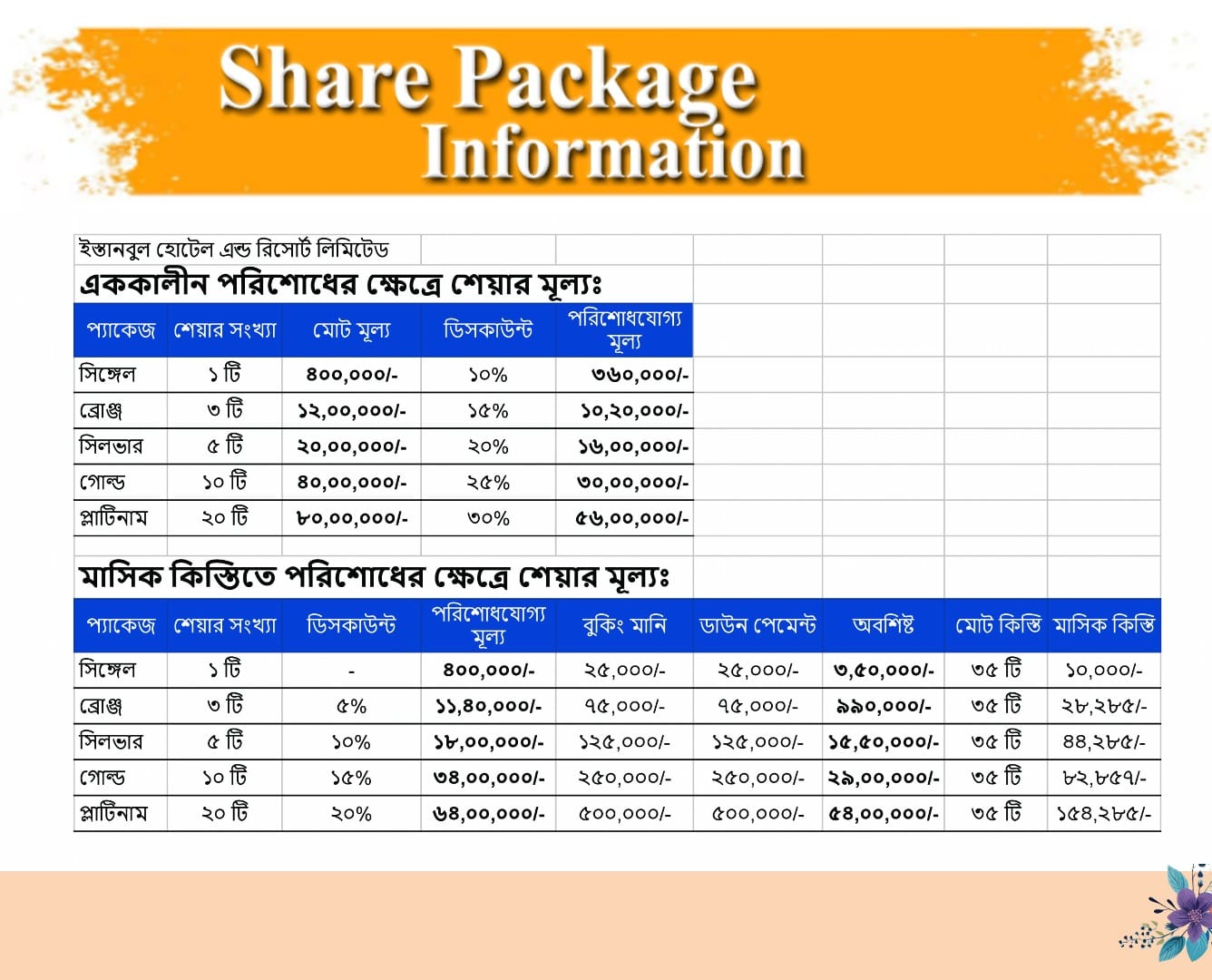 ইস্তানবুল হোটেল অ্যান্ড রিসোর্টের শেয়ার প্যাকেজের বিস্তারিত। ছবি: সংগৃহীত