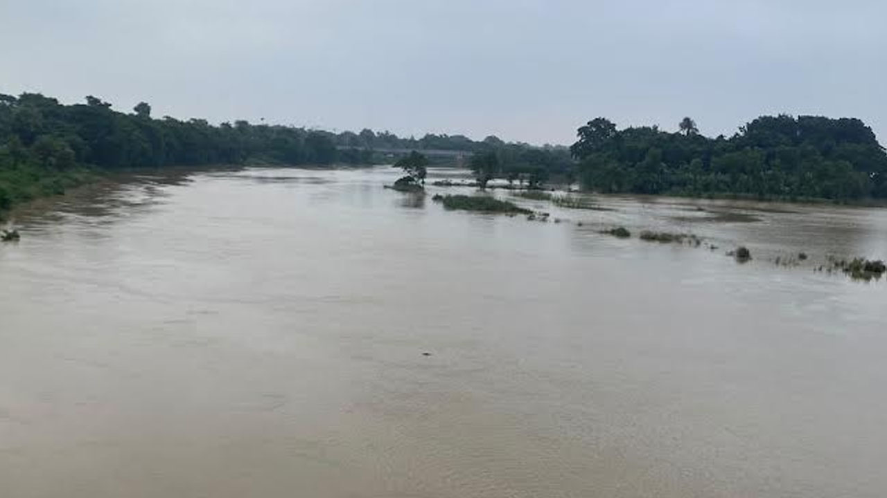 গোমতীর পানি বাড়ছে, ফসল তলিয়ে কৃষকদের দুশ্চিন্তা