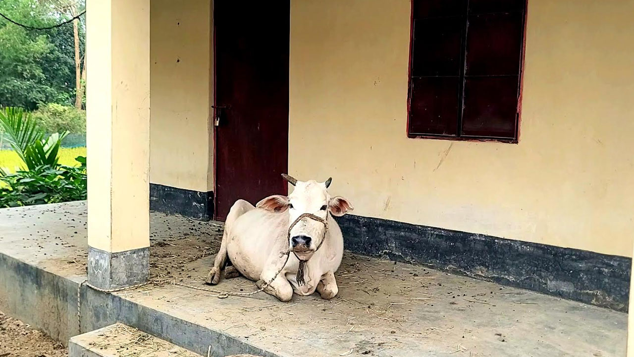 শেরপুরে আশ্রয়ণ প্রকল্পের ঘরে ঝুলছে তালা