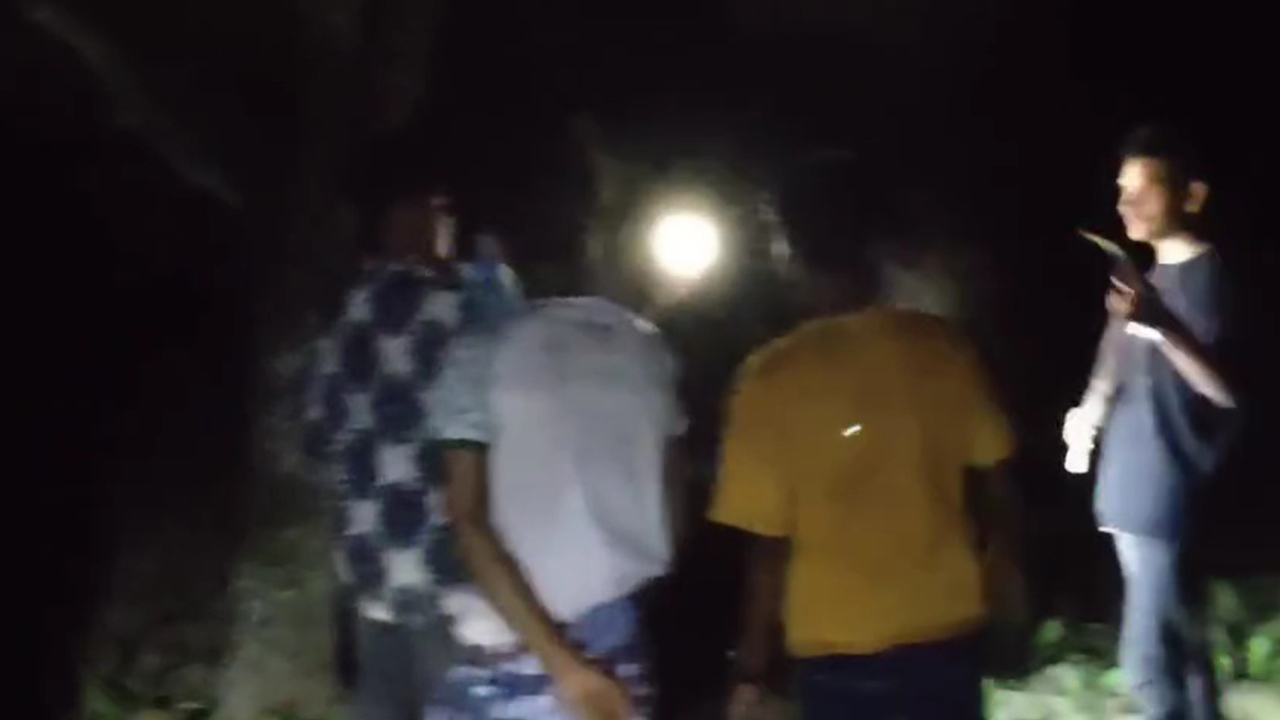 লাইট বন্ধ করে পুশইনের চেষ্টা, বিজিবি-গ্রামবাসীর তৎপরতায় ব্যর্থ