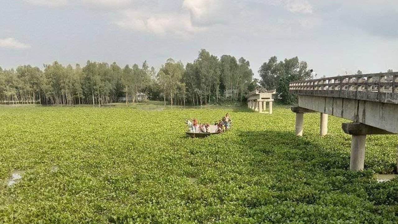 ছবি: এশিয়া পোস্ট