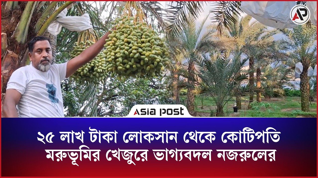 ২৫ লাখ টাকা লোকসান থেকে কোটিপতি, মরুভূমির খেজুরে ভাগ্যবদল নজরুলের