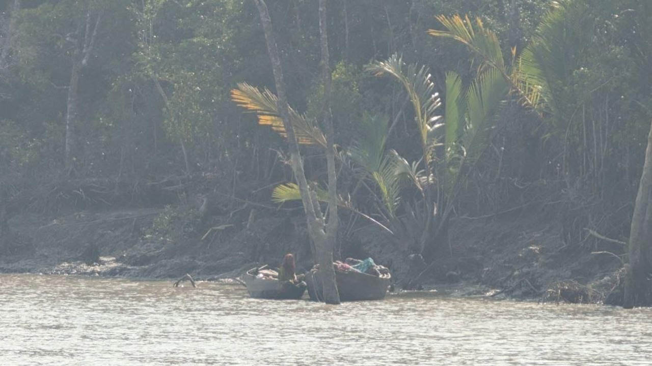 সুন্দরবনে ফের দস্যু আতঙ্ক, সক্রিয় ৭ বাহিনী