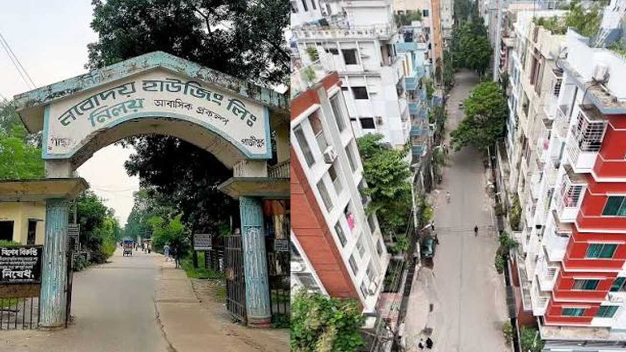 সালিশে কুপিয়ে বিএনপির দুই নেতাকে জখম