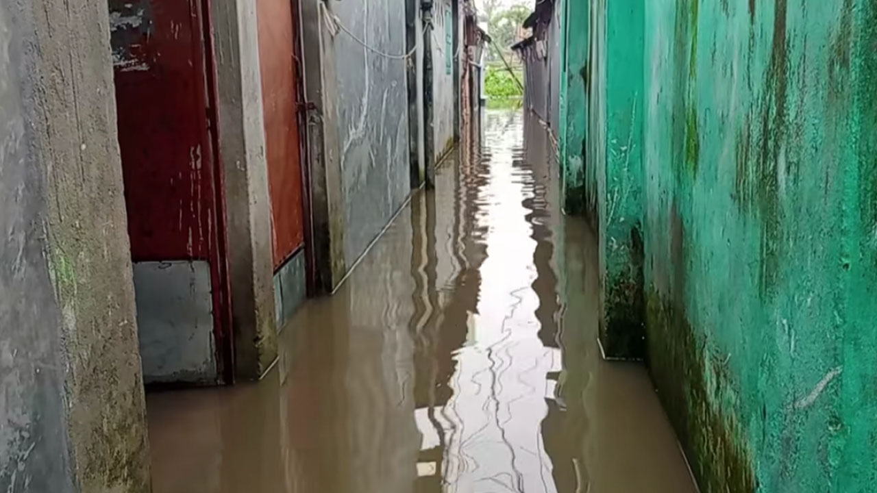 সামান্য বৃষ্টিতেই জলমগ্ন বগুড়া শহর, ভোগান্তিতে নগরবাসী