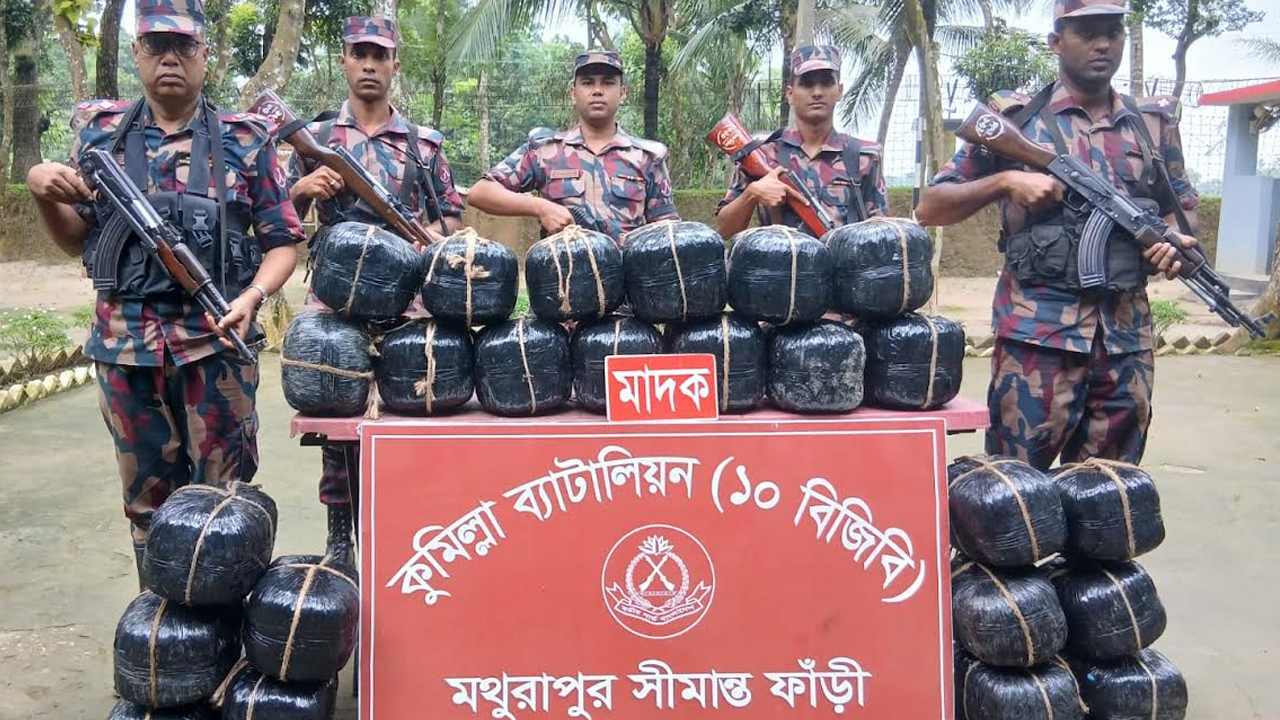 সীমান্তবর্তী বনাঞ্চল থেকে ৯৬ কেজি ভারতীয় গাঁজা উদ্ধার