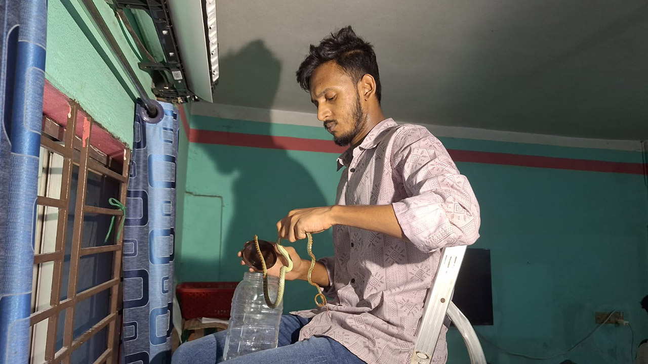 বাসার এসির ভেতরে মিলল দুই জোড়া কালনাগিনী সাপ