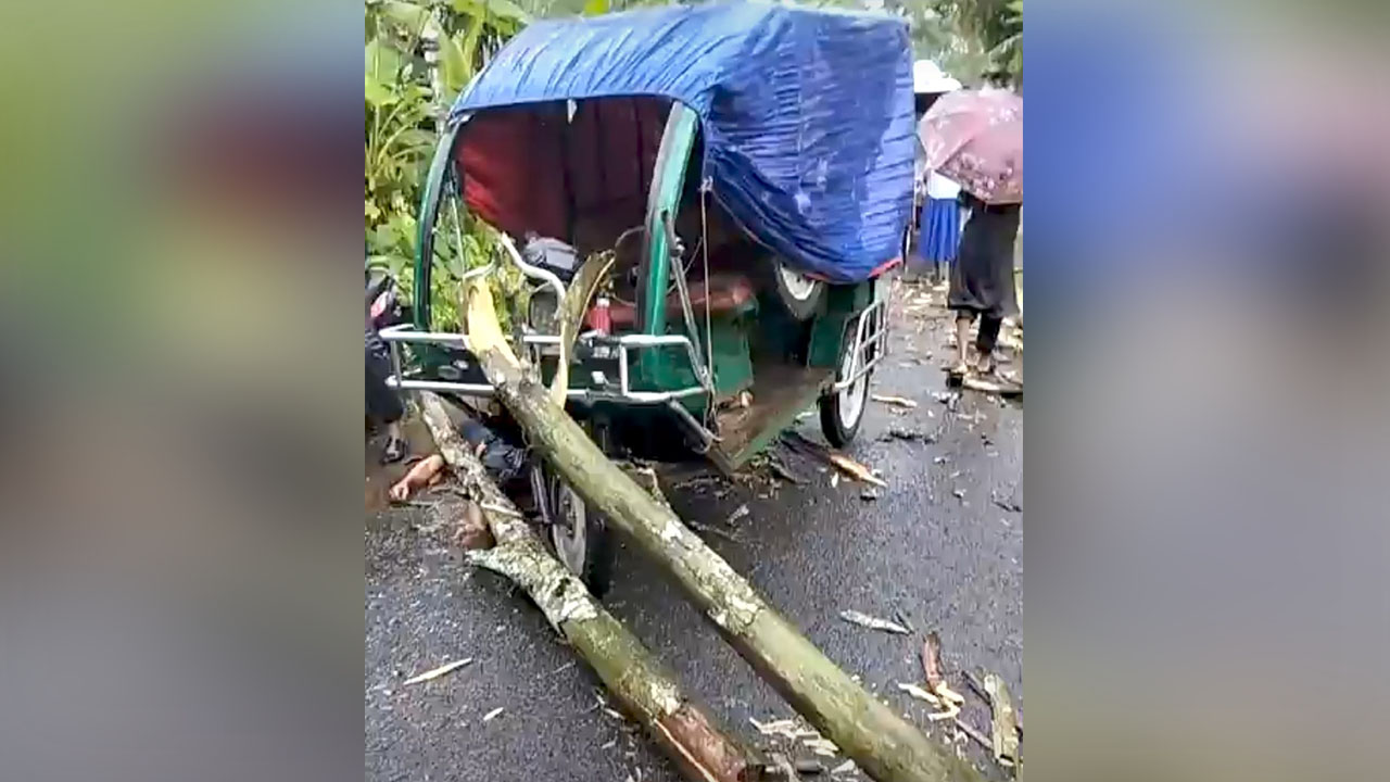 চলন্ত অটোরিকশার ওপর গাছ ভেঙে পড়ে চালক নিহত