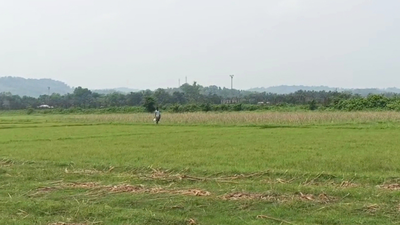 গত সোমবার রাতে জামালপুরের দেওয়ানগঞ্জ সীমান্ত দিয়ে এক ব্যক্তিকে ঠেলে দেয় বিএসএফ। ছবি: এশিয়া পোস্ট