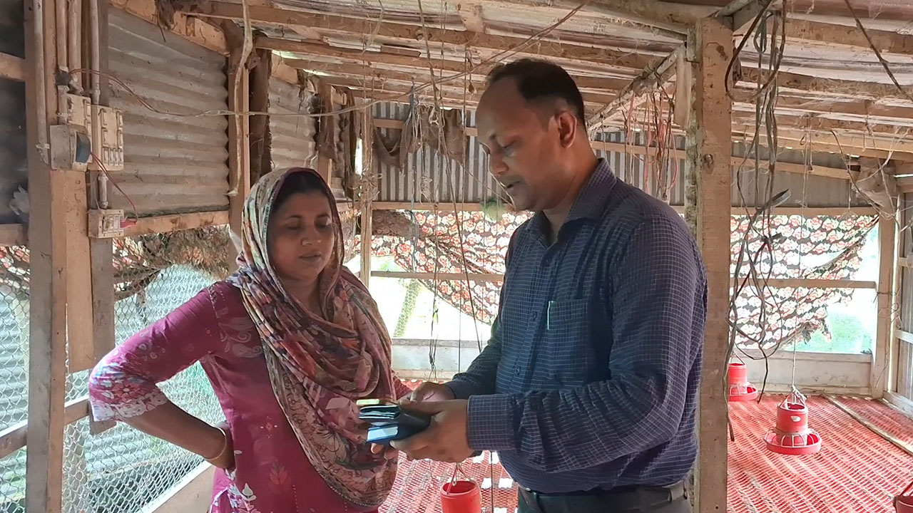 বিদ্যালয়ের পাশের সেই মুরগির খামার বন্ধ করে দিল প্রশাসন