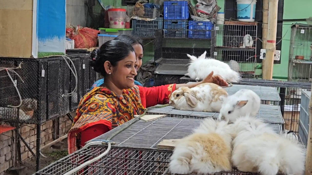 ১৯ বার চাকরি বদল, শেষমেশ খরগোশ খামারেই ভাগ্যবদল