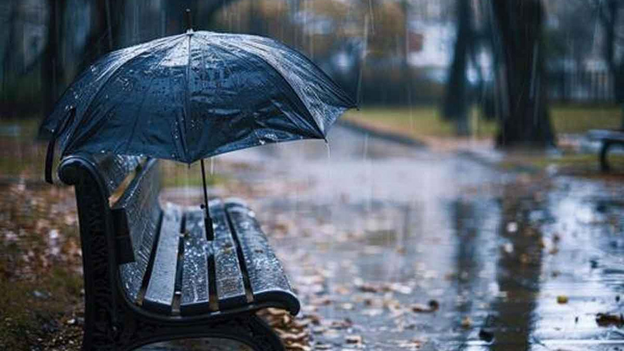 কেন বর্ষাতেই সবচেয়ে বেশি হারায় ছাতা, জানালেন মনোবিজ্ঞানীরা