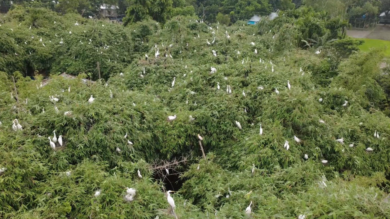ছবি: এশিয়া পোস্ট