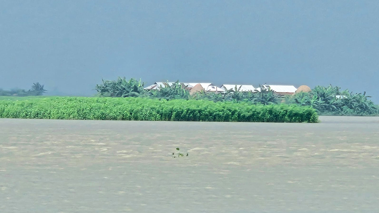 জামালপুরে বাড়ছে যমুনার পানি, পাহাড়ি ঢলে নিম্নাঞ্চল প্লাবিত